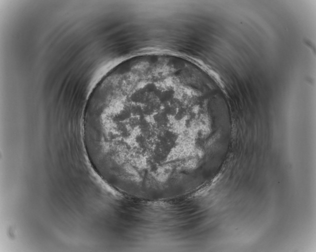 X0000094951239200712271650