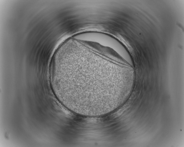 X0000094951240200712271650