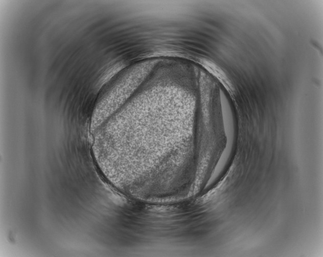 X0000094951241200712271650