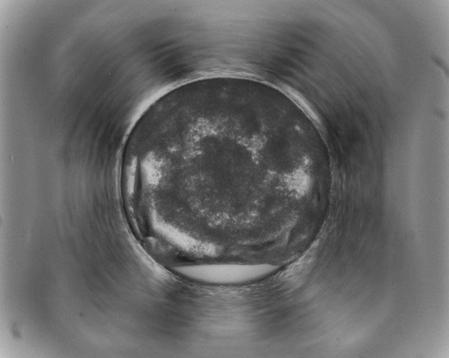 X0000094951246200712271650