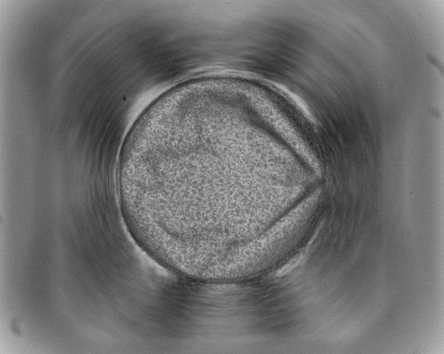 X0000094951247200712271650