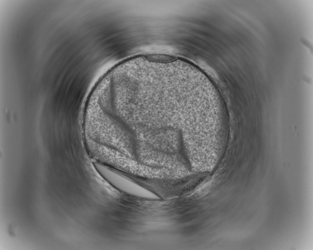 X0000094951248200712271651