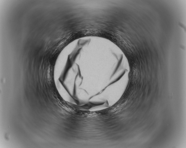 X0000094951250200712271650