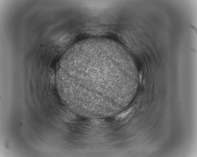 X0000094951251200712271650