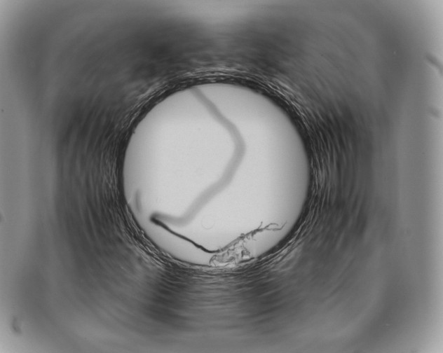 X0000094951252200712271650