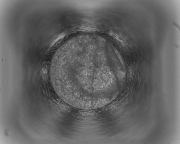 X0000094951254200712271650