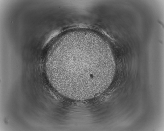 X0000094951255200712271650