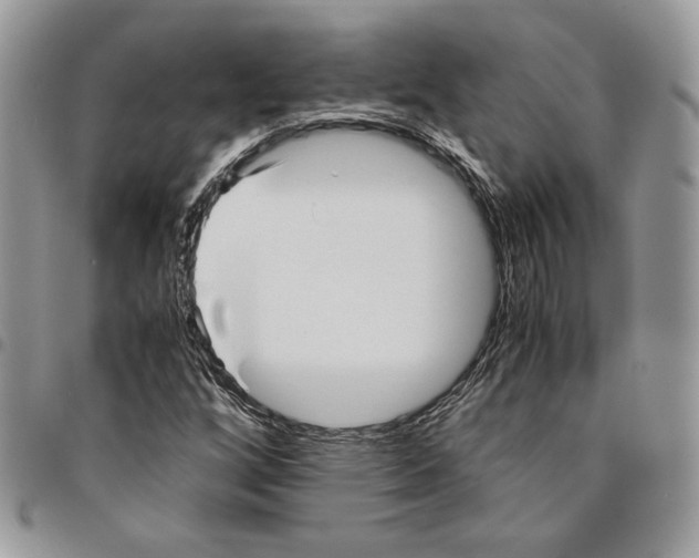 X0000094951256200712271650