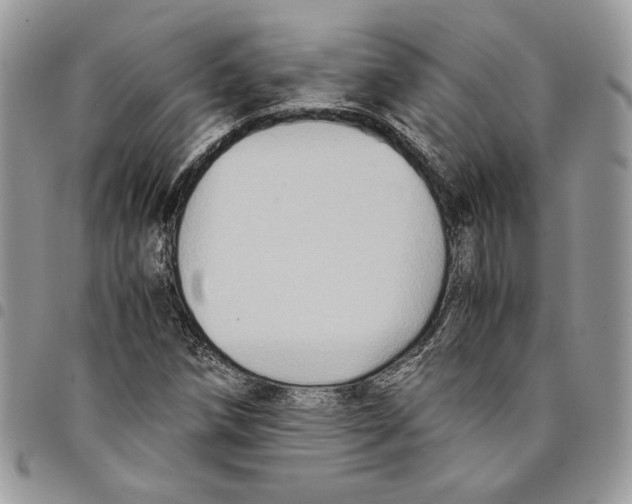 X0000094951258200712271650