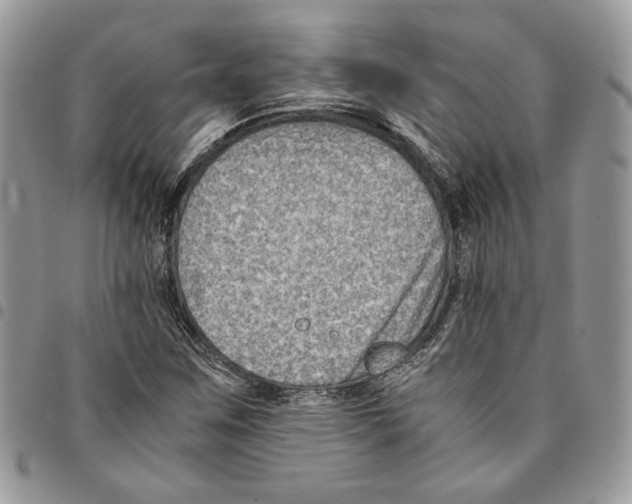 X0000094951259200712271650