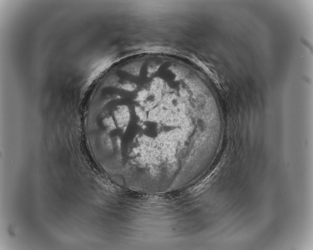 X0000094951263200712271650