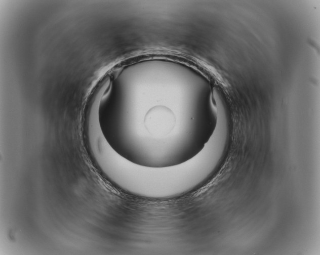 X0000094951264200712271650