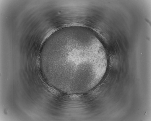 X0000094951266200712271650