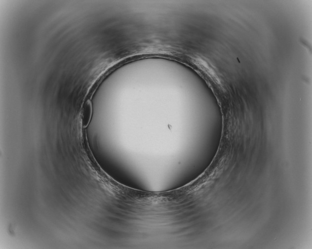 X0000094951268200712271650