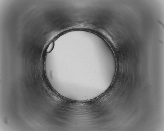 X0000094951270200712271650