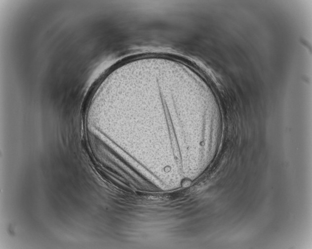 X0000094951271200712271650