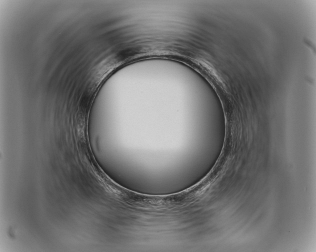 X0000094951273200712271650