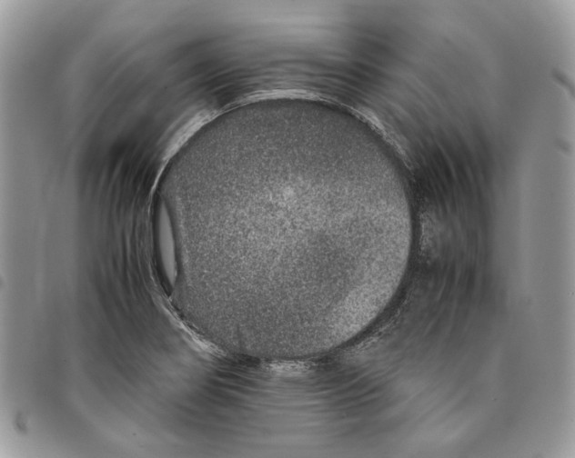 X0000094951274200712271650