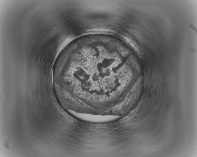 X0000094951275200712271649