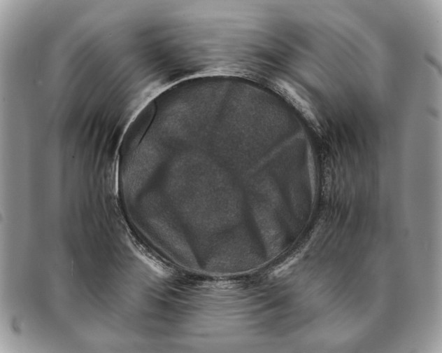 X0000094951276200712271649