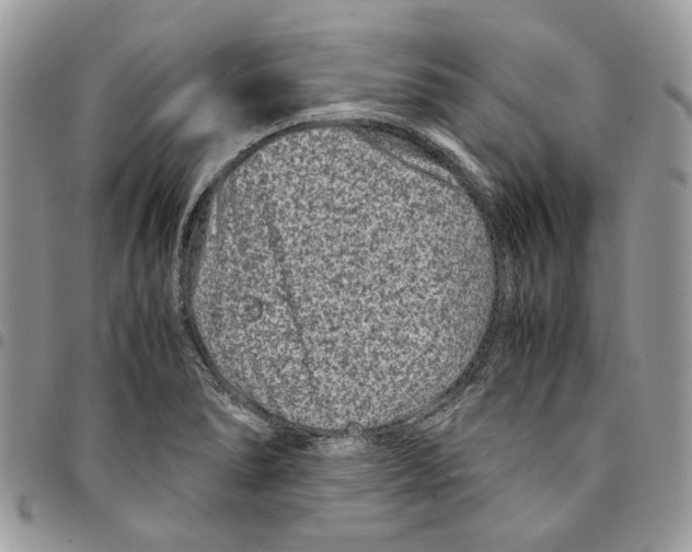 X0000094951278200712271649