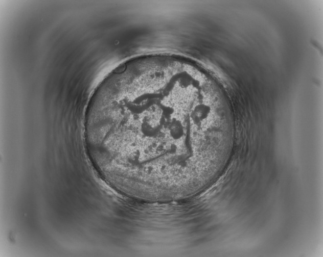 X0000094951279200712271649