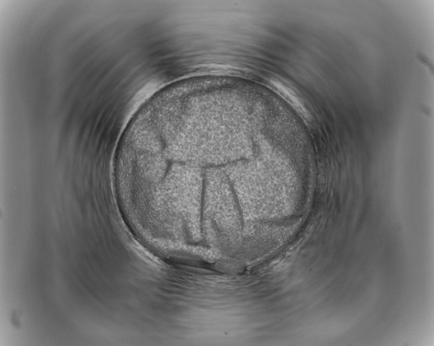 X0000094951283200712271649