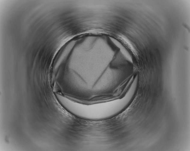 X0000094951284200712271649