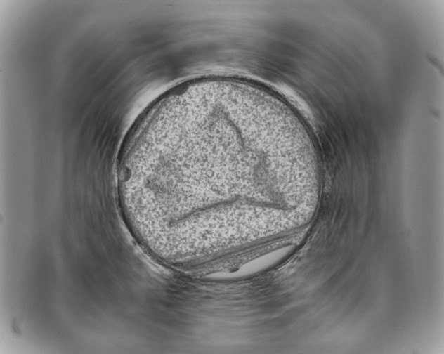 X0000094951287200712271649