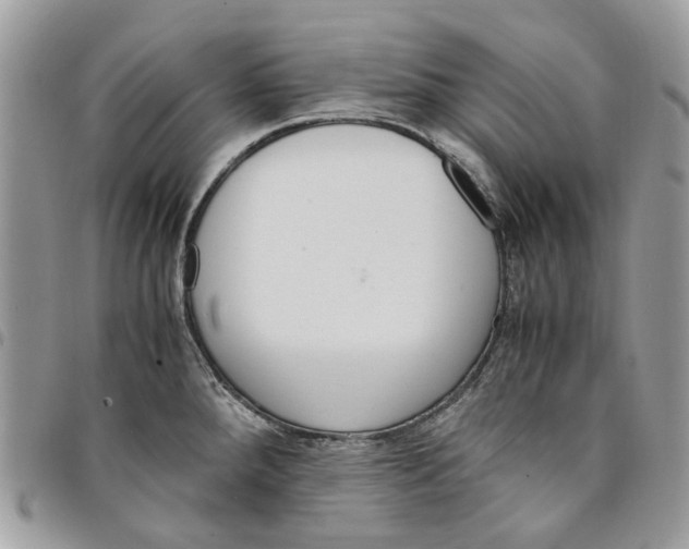 X0000094951288200712271649