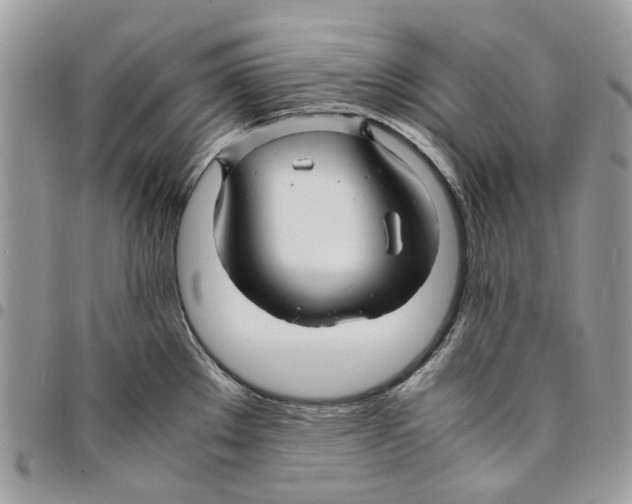 X0000094951289200712271649