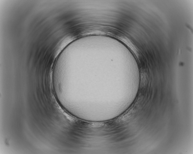 X0000094951290200712271649