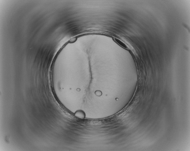 X0000094951291200712271649