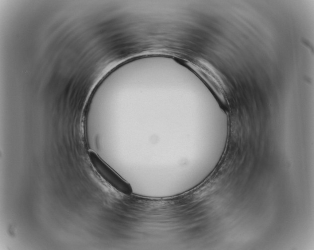 X0000094951292200712271649