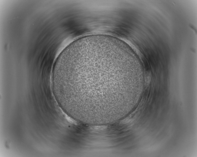 X0000094951294200712271649