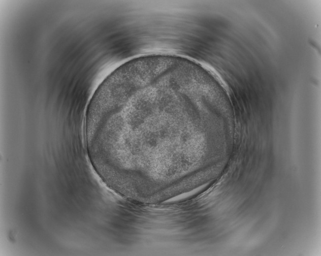 X0000094951295200712271649