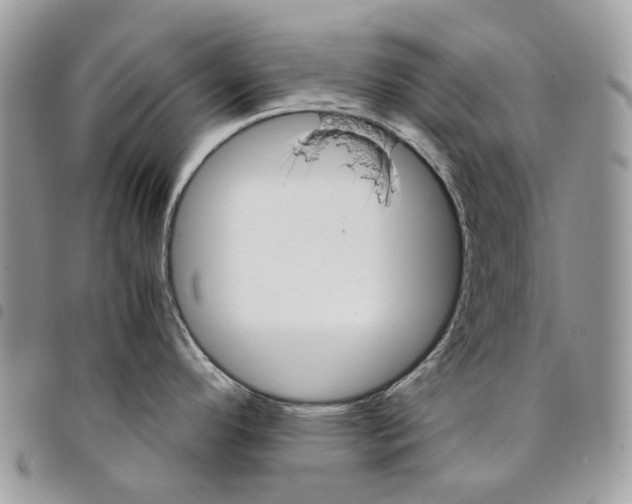 X0000094951296200712271649