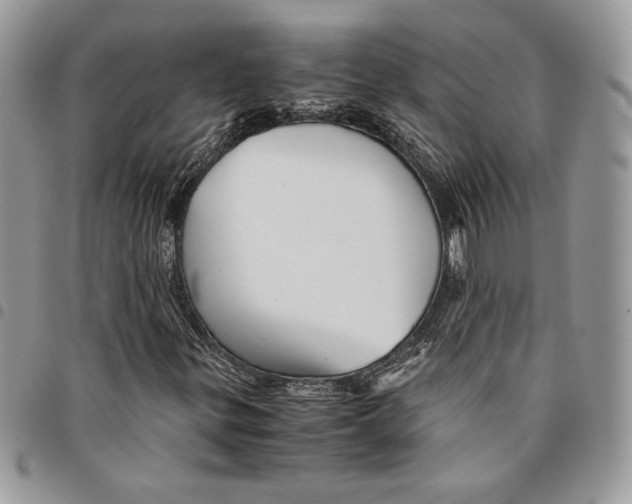 X0000094951299200712271649