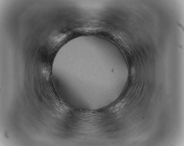 X0000094951300200712271649