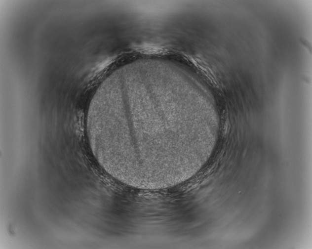 X0000094951301200712271649