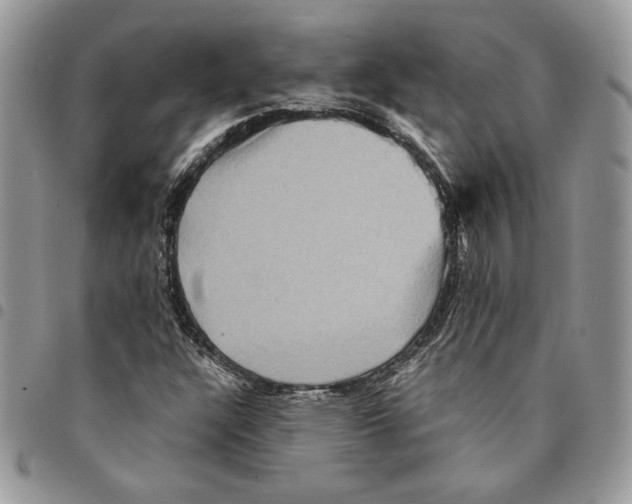 X0000094951304200712271649