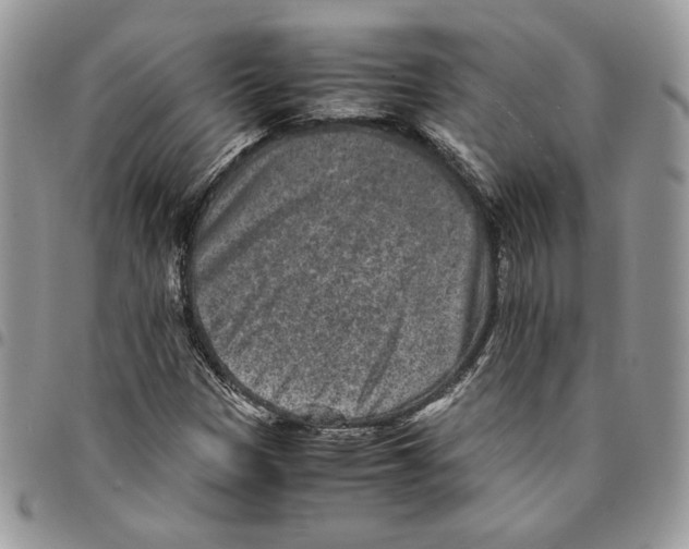 X0000094951305200712271649