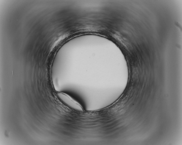 X0000094951307200712271649