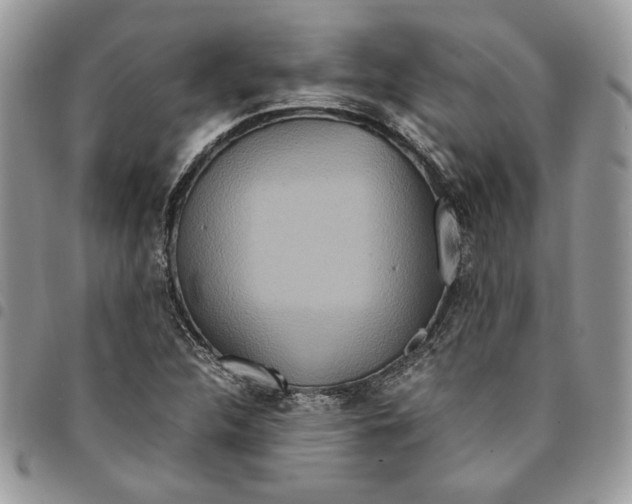 X0000094951312200712271649