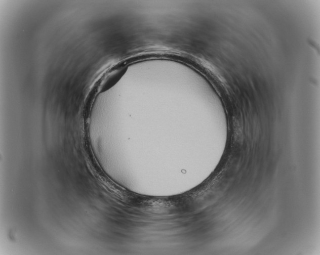 X0000094951318200712271649