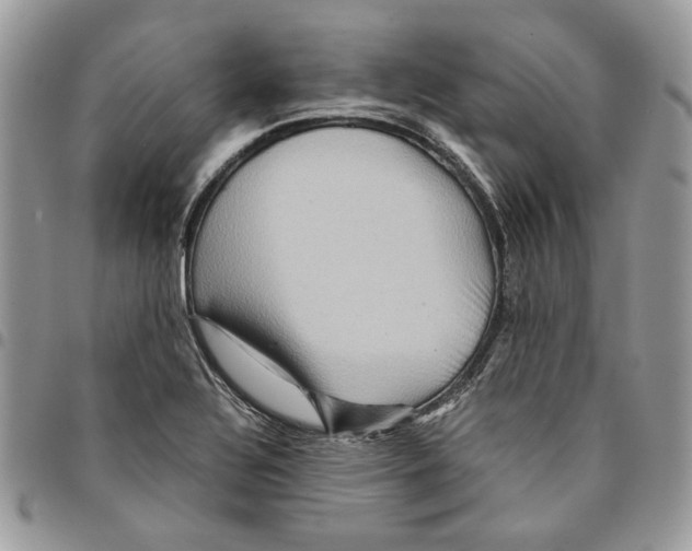 X0000094951320200712271649