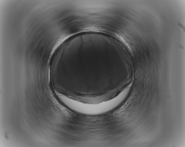 X0000094951323200712271649