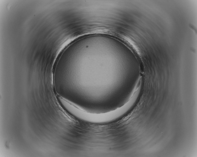 X0000094951324200712271649