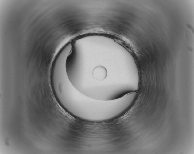 X0000094951326200712271649