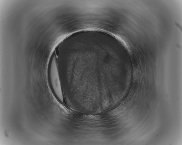 X0000094951327200712271649